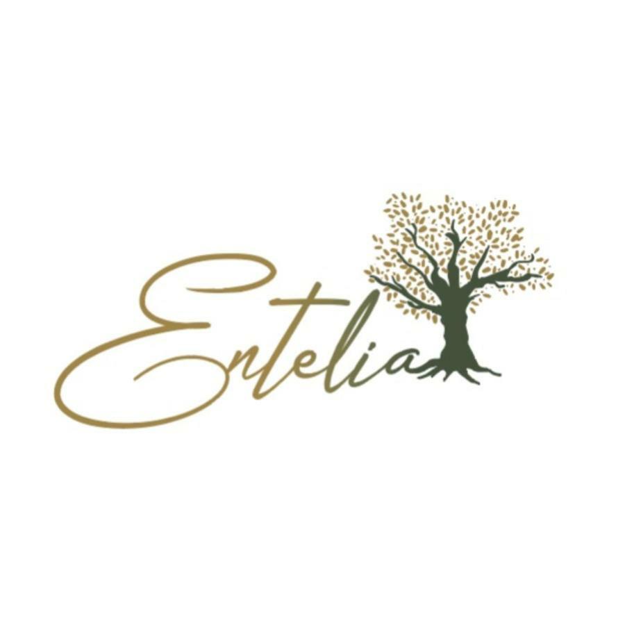 Отель Entelia Скиатос Экстерьер фото